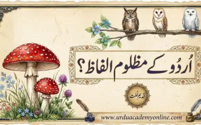 اُردُو کے مظلوم الفاظ