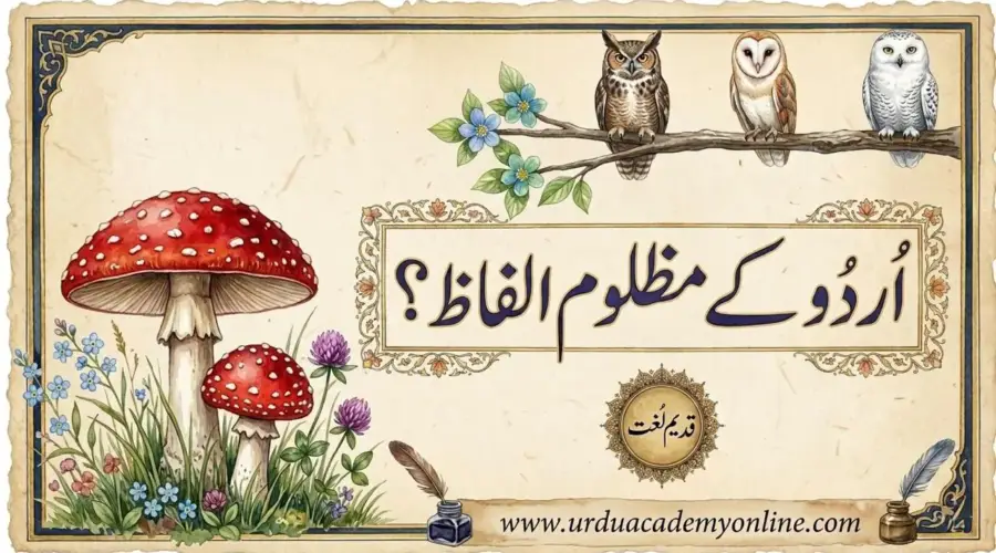 اُردُو کے مظلوم الفاظ؟ اُردُو کے مظلوم الفاظ